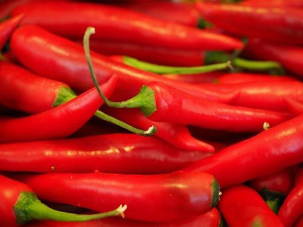 10 ماده غذایی موثر برای افزایش سوخت و ساز بدن 10 ماده غذایی موثر برای افزایش سوخت و ساز بدن