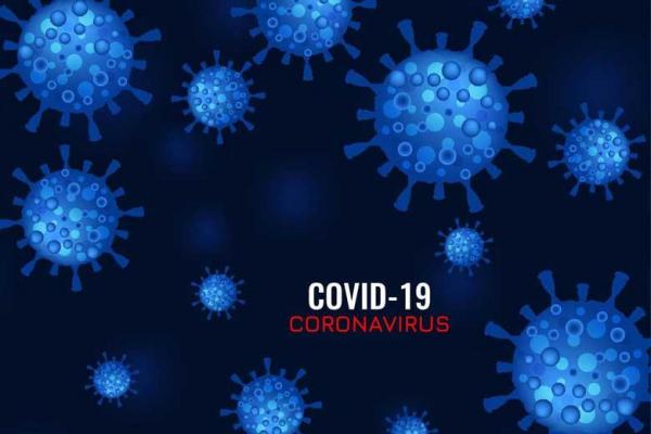 جان باختن 187 هموطن مبتلا به کرونا در شبانه روز گذشته ، شناسایی جان باختن 187 هموطن مبتلا به کرونا در شبانه روز گذشته ، شناسایی 6208 بیمار جدید