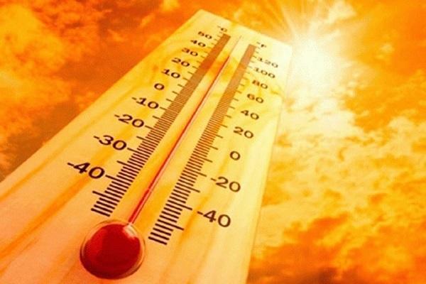 خوراکی هایی که نقش کولر را برای بدن ایفا می کنند خوراکی هایی که نقش کولر را برای بدن ایفا می کنند