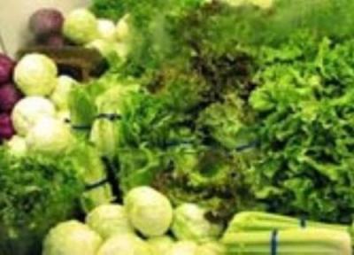 سبزیجات: سپری در برابر پرتوهای مضر
