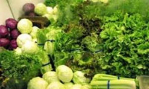سبزیجات: سپری در برابر پرتوهای مضر سبزیجات: سپری در برابر پرتوهای مضر