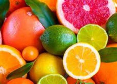 فراوری مرکبات 30 درصد افزایش یافت